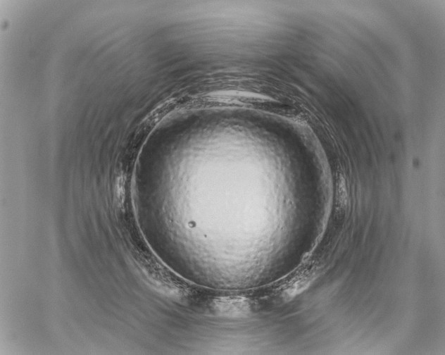 X0000059100271200510172127