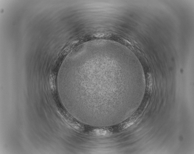 X0000059100272200510172127