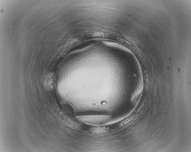 X0000059100273200510172127