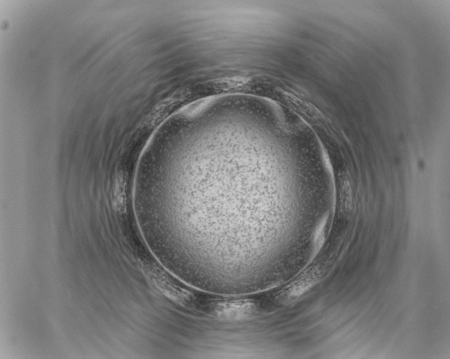 X0000059100274200510172127