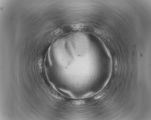 X0000059100275200510172127