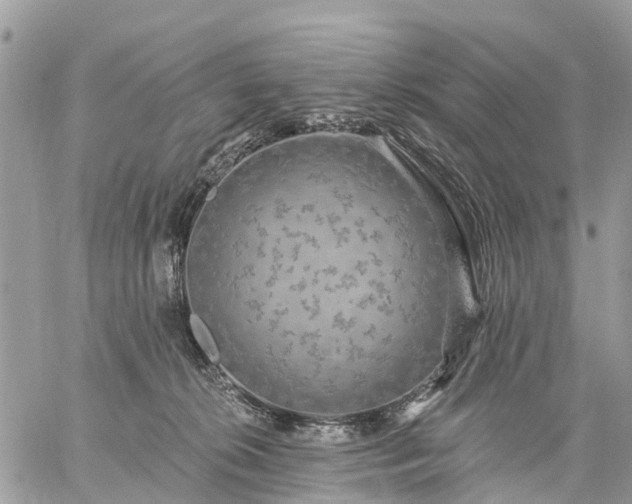 X0000059100276200510172127