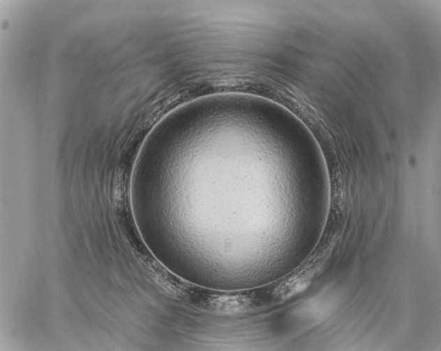 X0000059100277200510172127