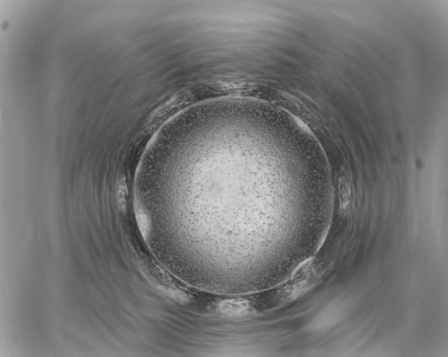 X0000059100279200510172127