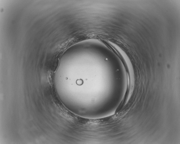 X0000059100280200510172127