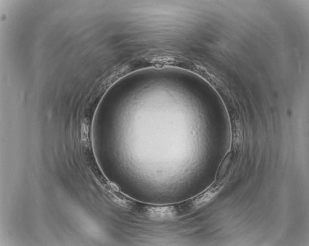 X0000059100281200510172127