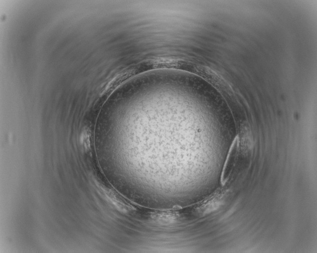 X0000059100282200510172128