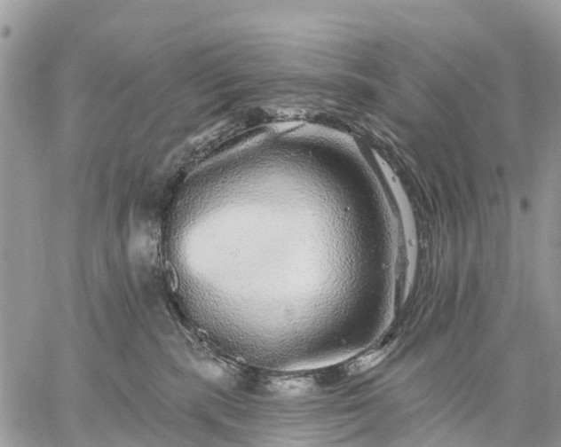 X0000059100283200510172128