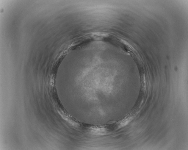 X0000059100284200510172128