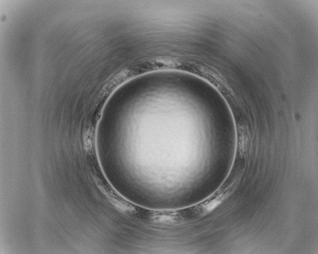 X0000059100285200510172128