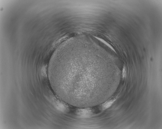 X0000059100286200510172128