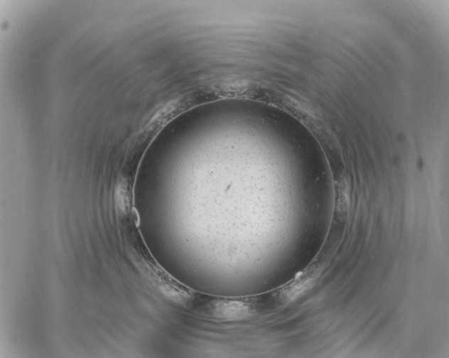 X0000059100287200510172128