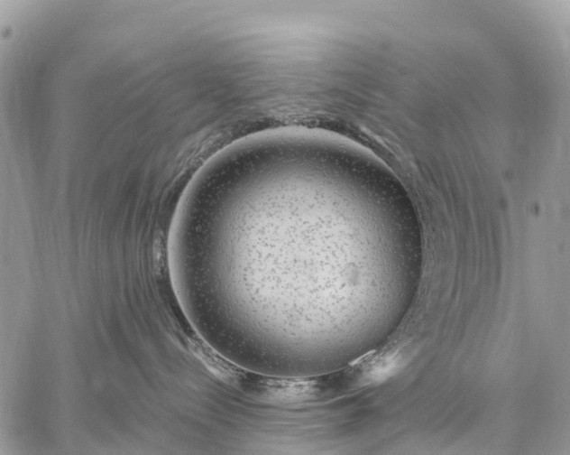 X0000059100288200510172128