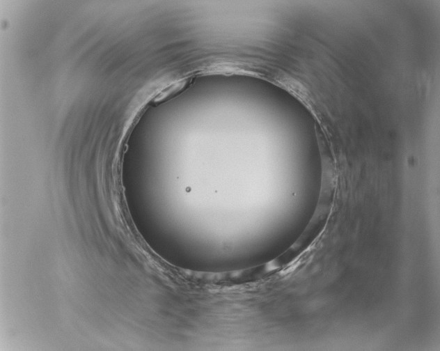 X0000059100289200510172127