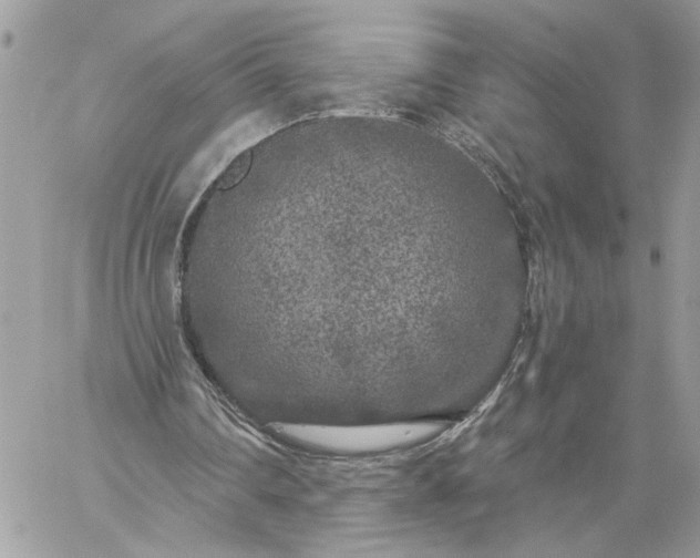 X0000059100290200510172127