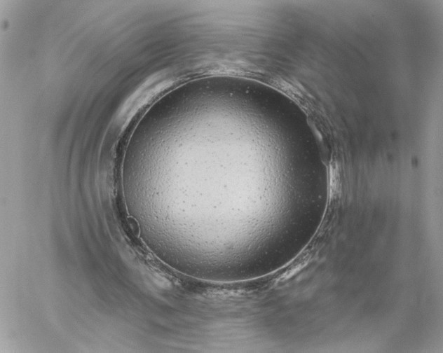 X0000059100291200510172127