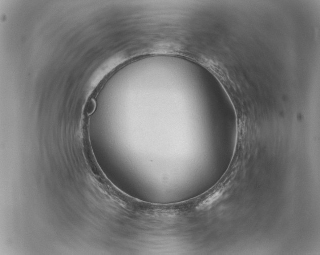 X0000059100292200510172127