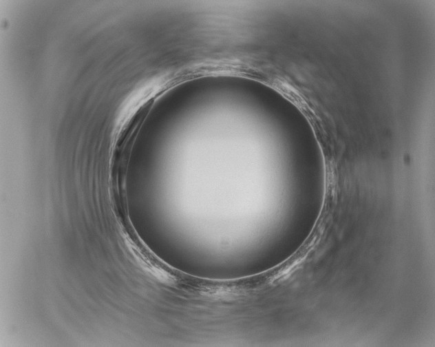 X0000059100293200510172127