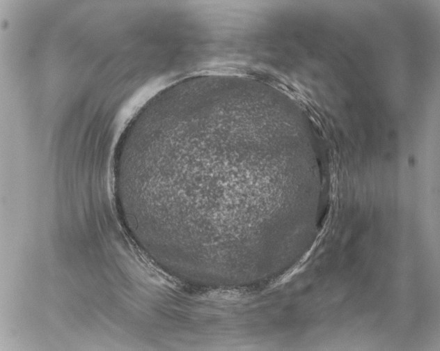 X0000059100294200510172127