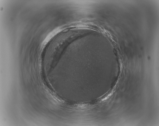 X0000059100295200510172127