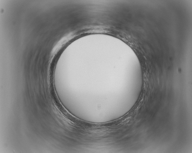 X0000059100296200510172127