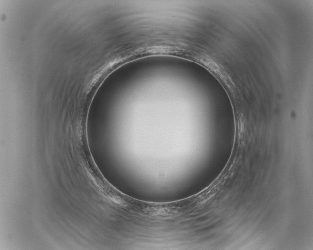 X0000059100297200510172127