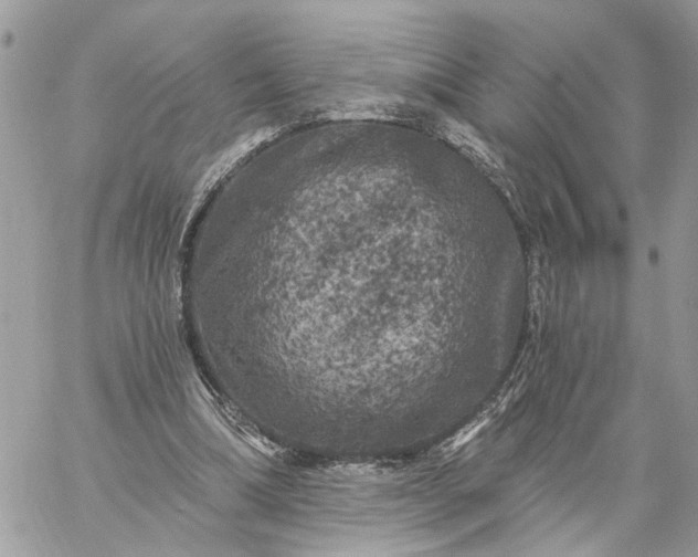 X0000059100298200510172127