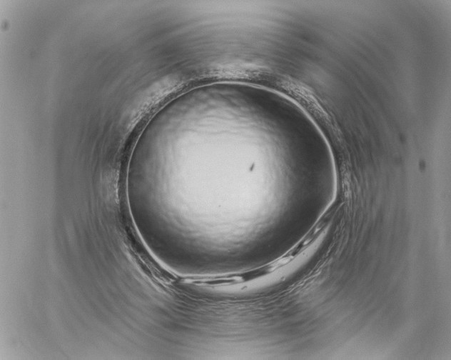 X0000059100299200510172127