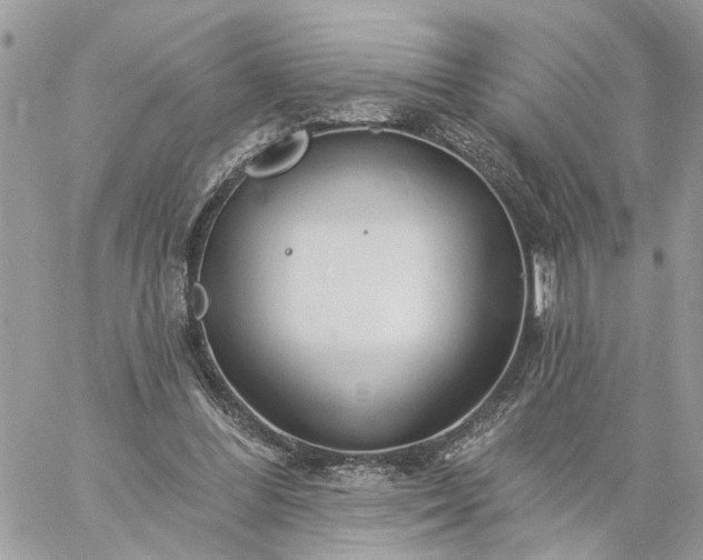 X0000059100300200510172127