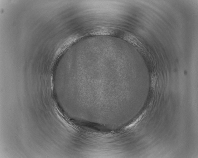 X0000059100302200510172127