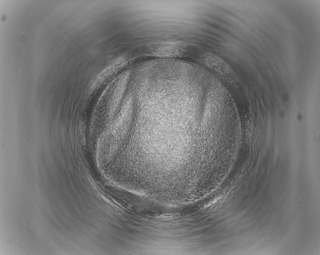 X0000059100303200510172127