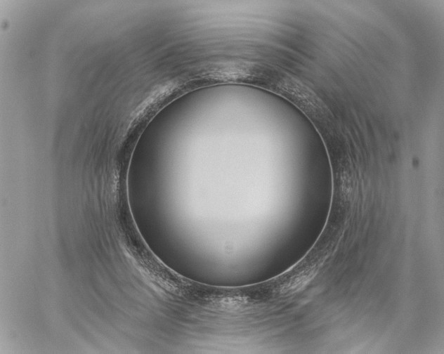 X0000059100304200510172127