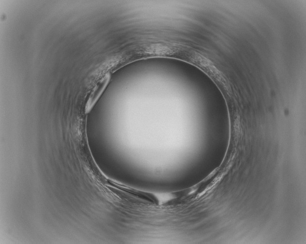 X0000059100305200510172127