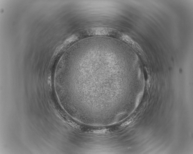 X0000059100306200510172127