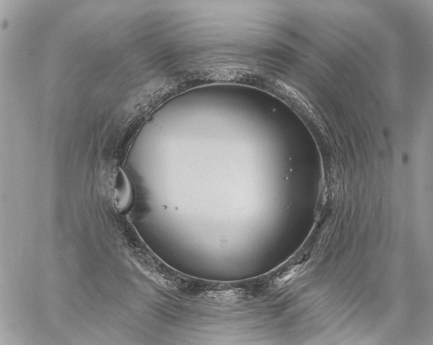 X0000059100307200510172127