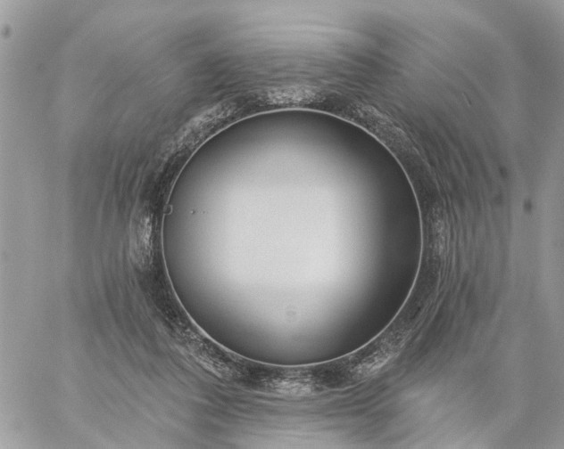 X0000059100308200510172127