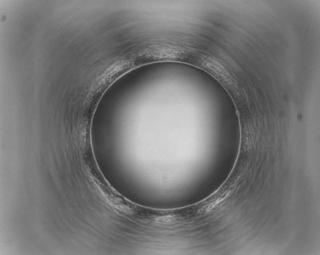 X0000059100309200510172127