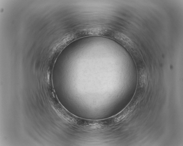 X0000059100310200510172126