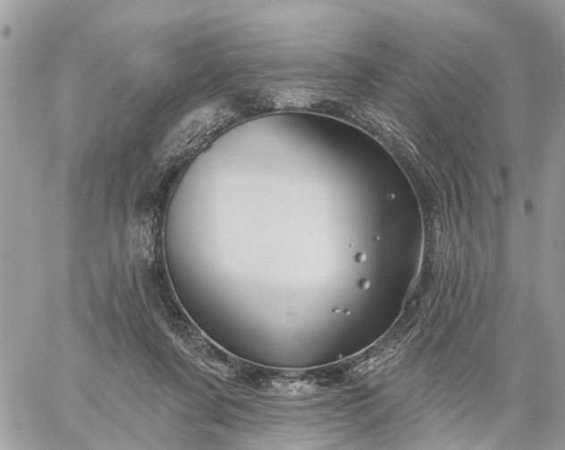 X0000059100311200510172126