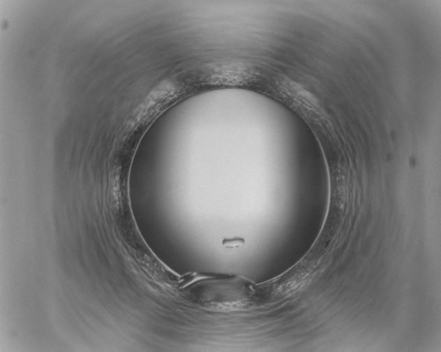 X0000059100312200510172126