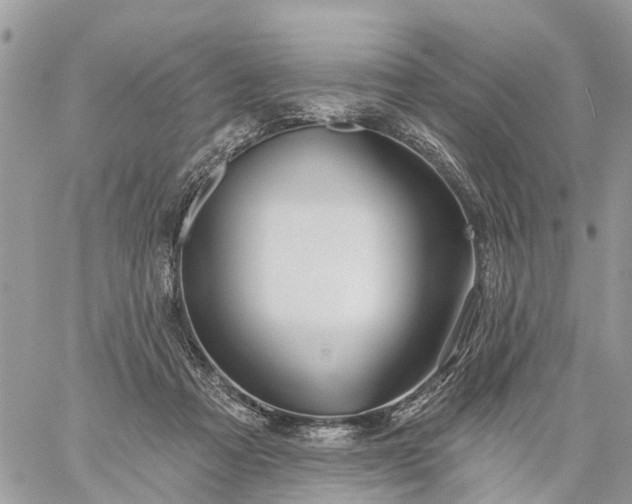 X0000059100313200510172126