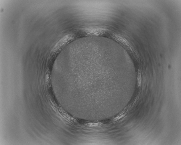 X0000059100314200510172126