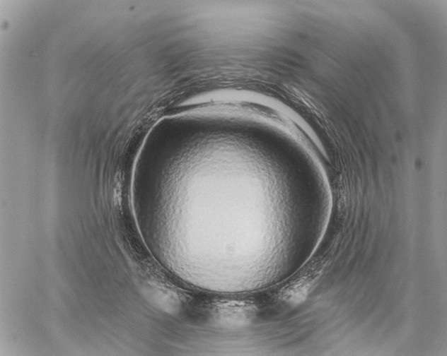 X0000059100315200510172126