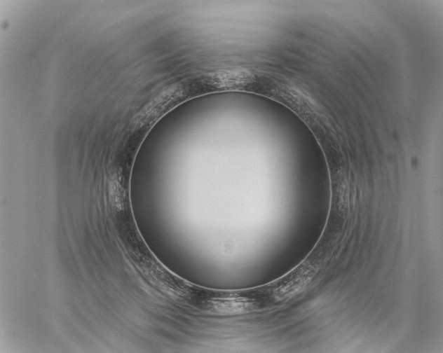 X0000059100316200510172126