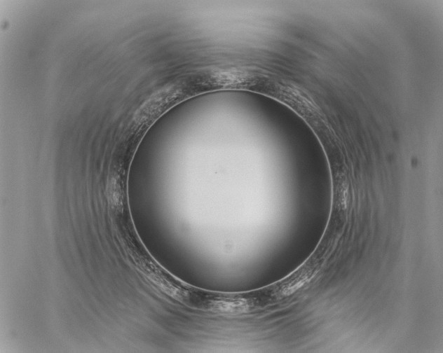 X0000059100317200510172126