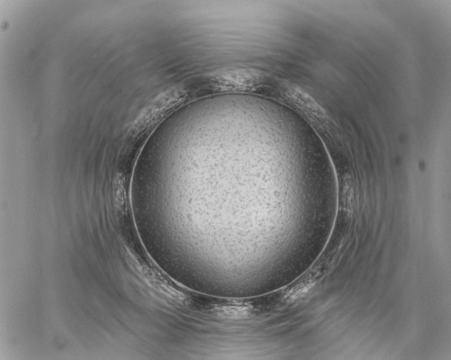 X0000059100318200510172126