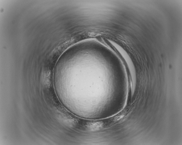 X0000059100319200510172126