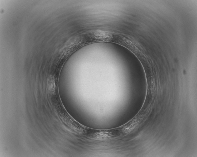 X0000059100320200510172126