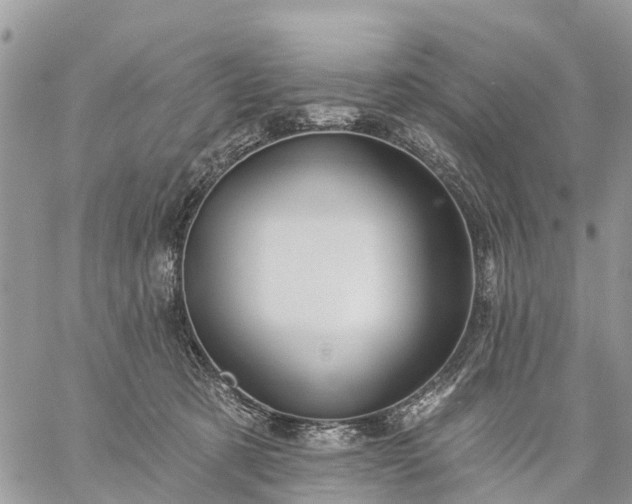 X0000059100321200510172126