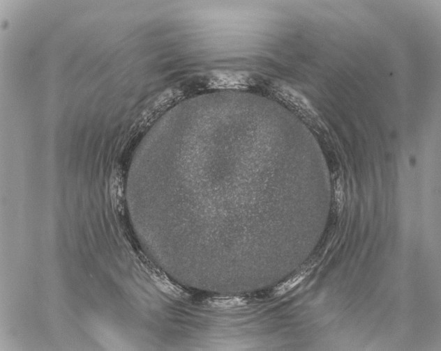 X0000059100322200510172126